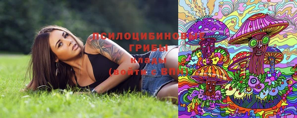 ешки Арсеньев