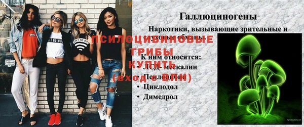 ешки Арсеньев